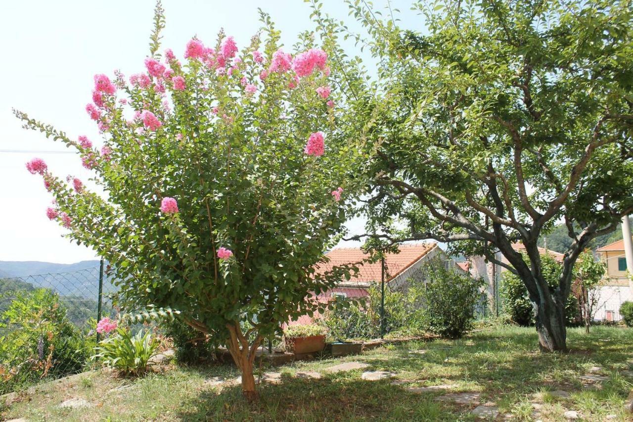 La Casetta Di Graziella Apartment Vezzi Portio ภายนอก รูปภาพ