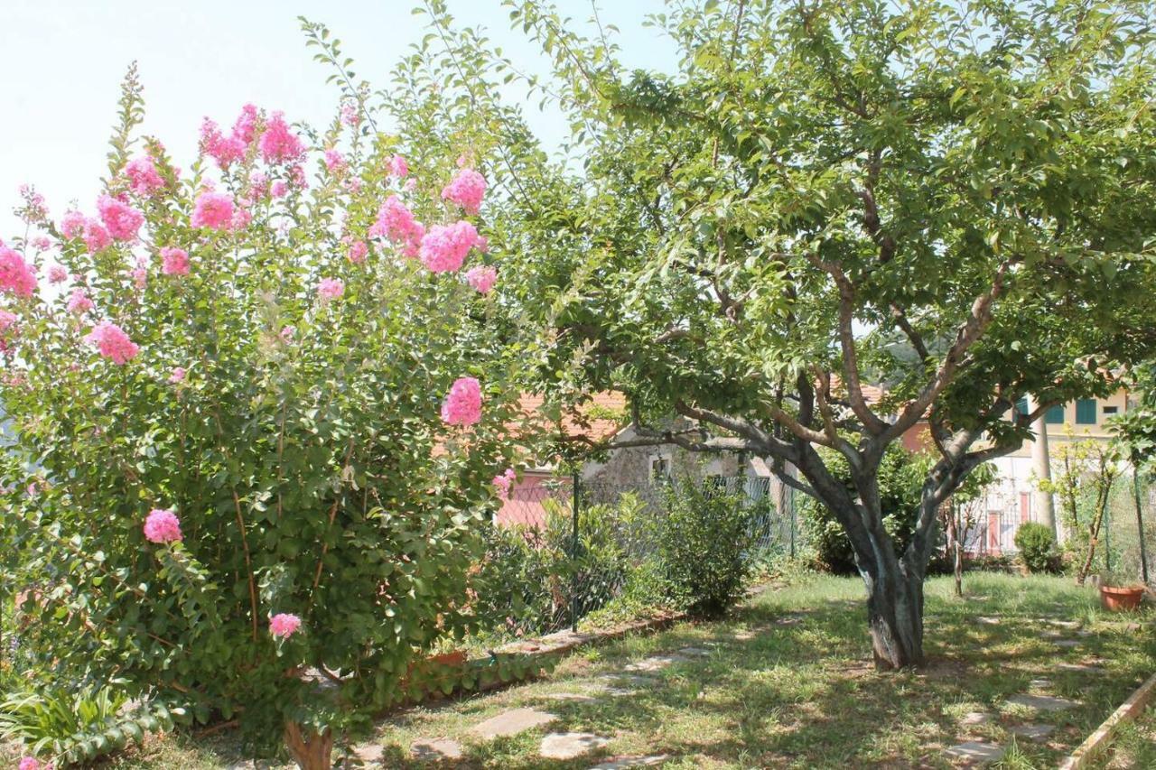 La Casetta Di Graziella Apartment Vezzi Portio ภายนอก รูปภาพ